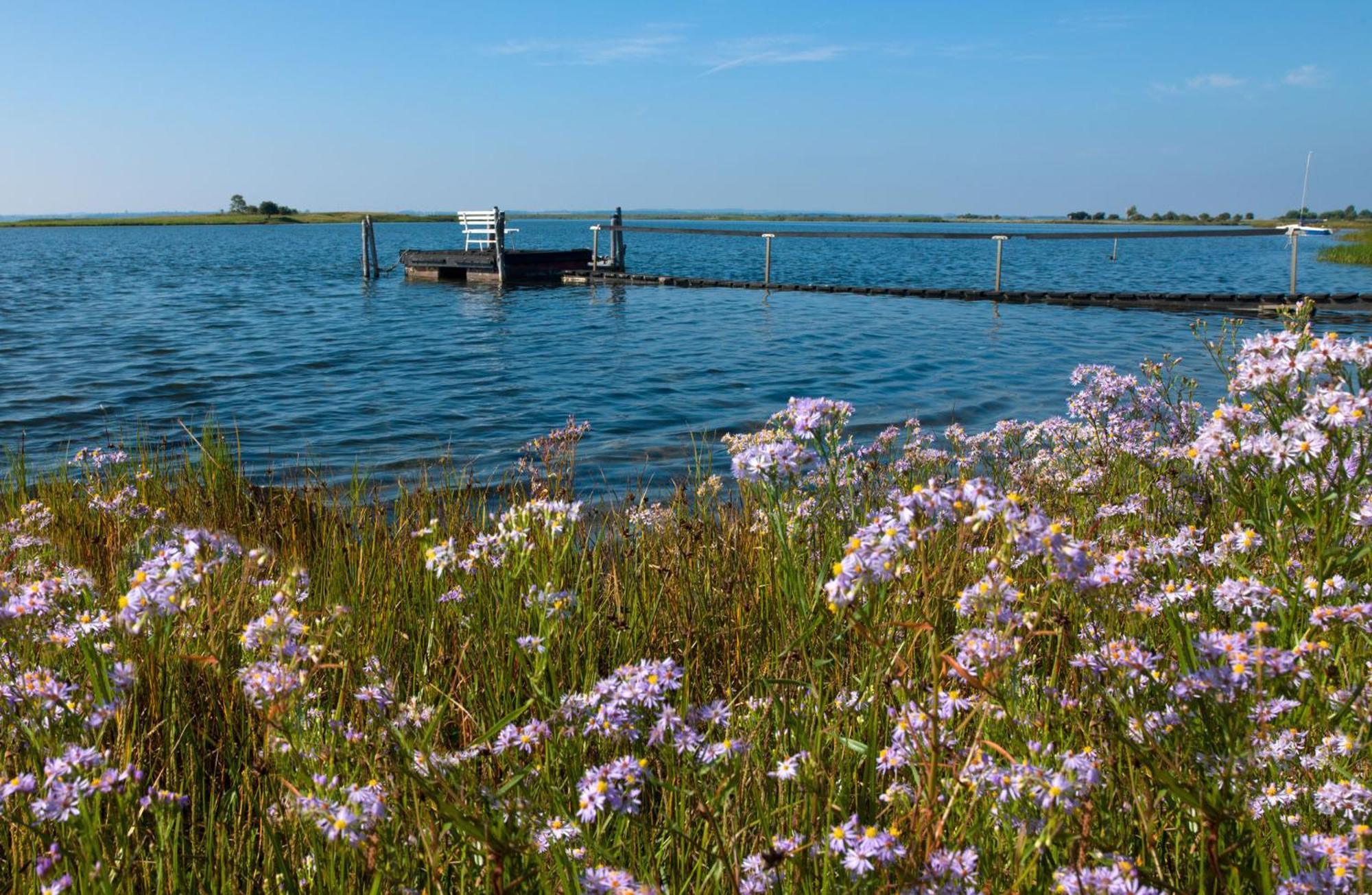 Апартаменти Insel-Idyll Sonnenschein Інзель-Пель Екстер'єр фото